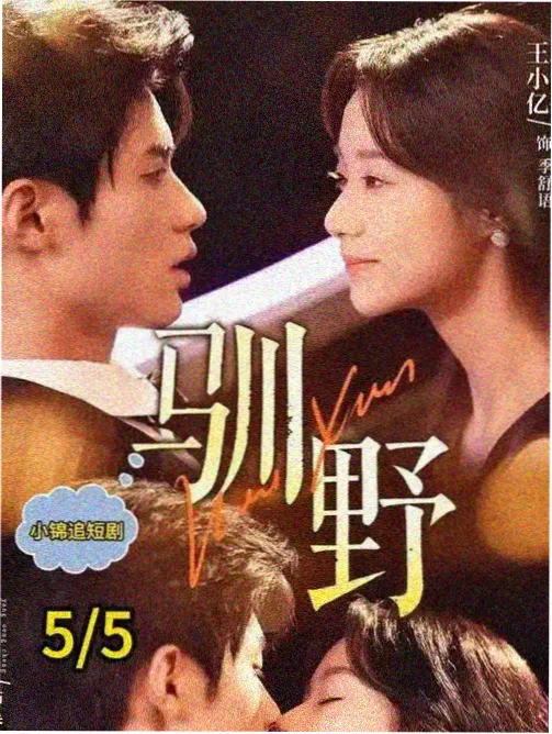 雾港长夜剧集缩略图